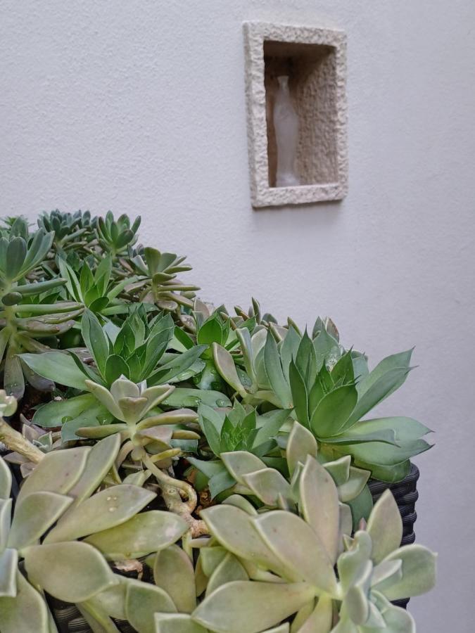 Apartamento Monnalisa House Malcesine Exterior foto